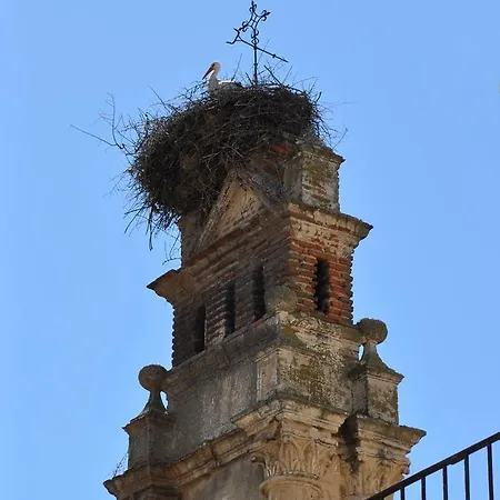 Casa Rural Las Nieves Garrovillas De Alconetar